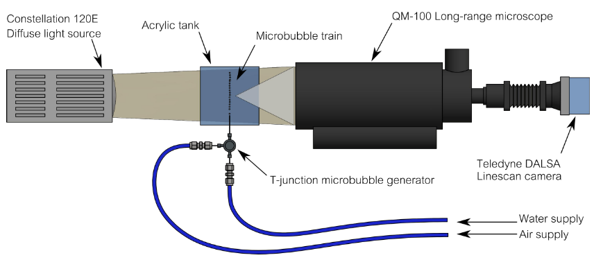 Towards Real-Time Optical Measurement of Microbubble Content in Hydrodynamic Test Facilities