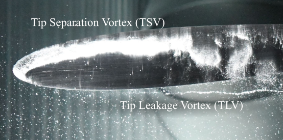 Nucleation Effects on Tip-Gap Cavitation