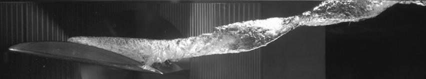 Influence of nucleation on cavitation inception in tip leakage flows