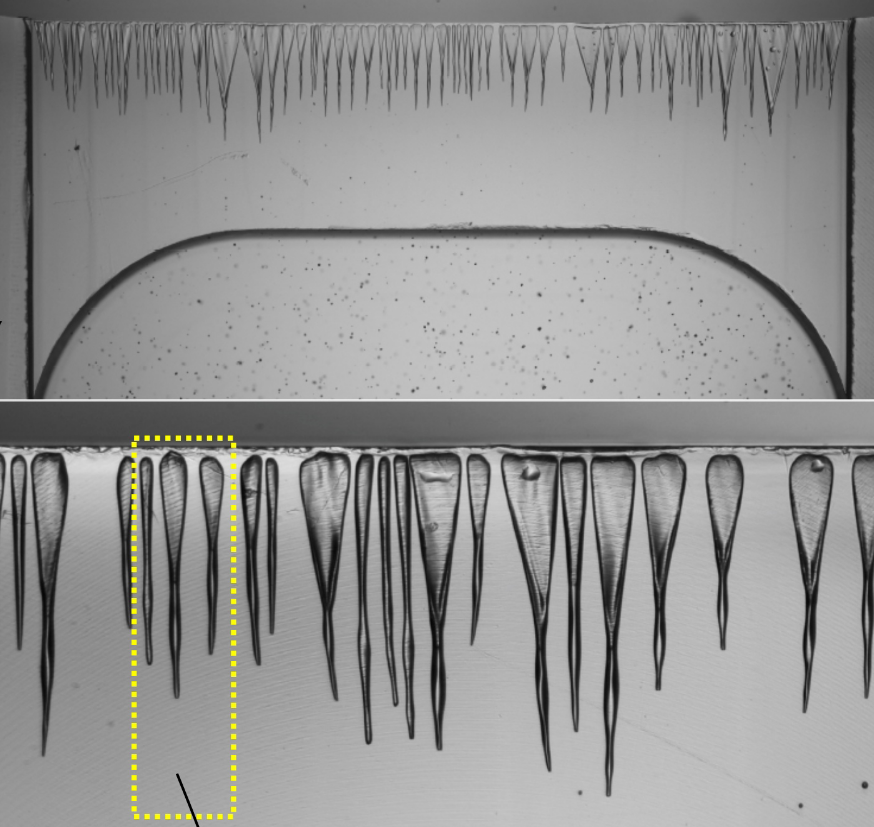 Microbubble Generation via Combined Saffman-Taylor and Plateau-Rayleigh Instabilities