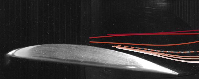 The effect of nuclei and gap height on cavitation in tip leakage flow