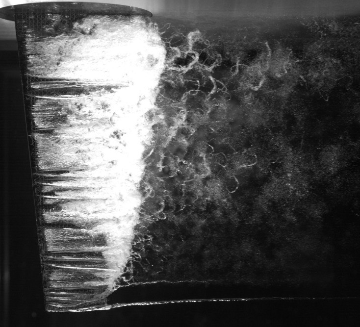 Data-Driven Model of the Response of Flexible Hydrofoils in Cloud Cavitation